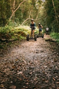 Tsitsikamma Forest