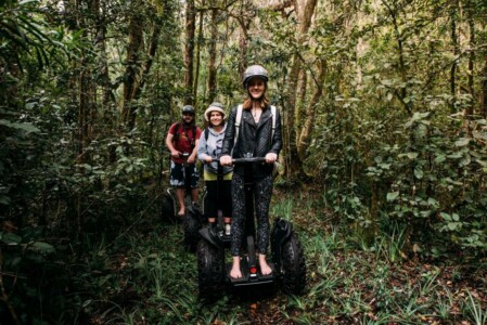 Tsitsikamma Forest