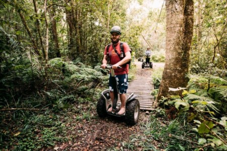 Tsitsikamma Forest